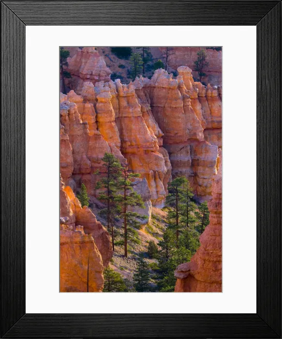 Framed Print : USA, Utah, Bryce Canyon National Park, near Sunset Point Framed Print : USA, Utah, Bryce Canyon National Park, near Sunset Point