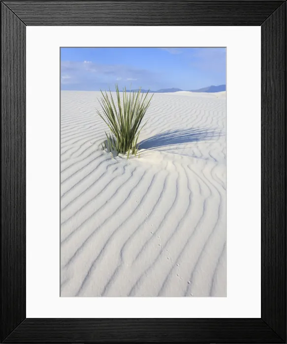 Framed Print : USA, New Mexico, White Sands National Monument Framed Print : USA, New Mexico, White Sands National Monument