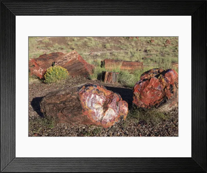 Framed Print : USA, Arizona, Holbrook, Petrified Forest National Park, Petrified wood on Long Logs Trail Framed Print : USA, Arizona, Holbrook, Petrified Forest National Park, Petrified wood on Long Logs Trail