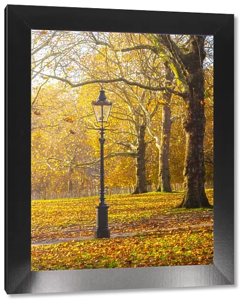 UK, England, London, Green Park in Autumn