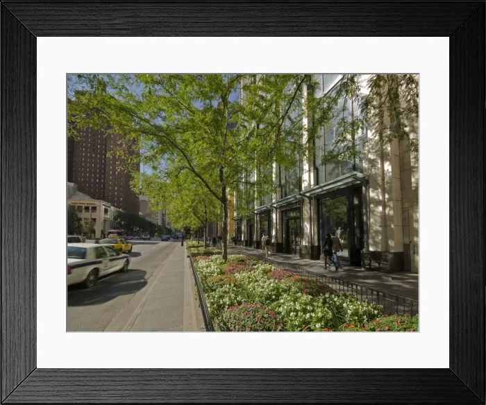 Framed Print : Illinois, Chicago, North Michigan Avenue (The Magnificent Mile shopping street)