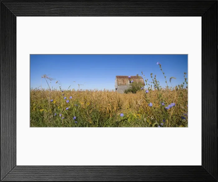 Framed Print : USA, Illinois, old Route 66, Odell, Barn