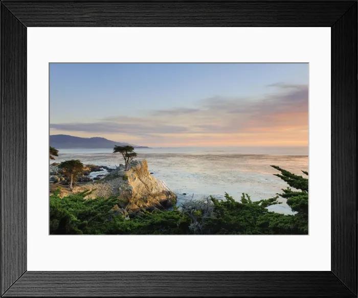Framed Print : USA, California, Monterey Peninsula, 17 mile drive, Lone Cypress Framed Print : USA, California, Monterey Peninsula, 17 mile drive, Lone Cypress