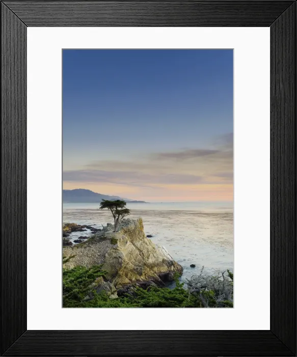 Framed Print : USA, California, Monterey Peninsula, 17 mile drive, Lone Cypress