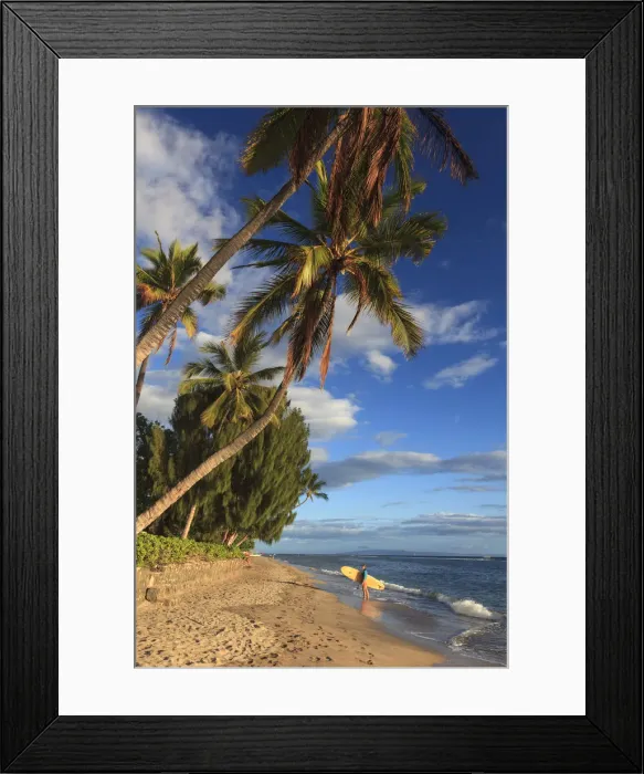 Framed Print : USA, Hawaii, Maui, Lahaina, Kamehameha Iki Park and Beach Framed Print : USA, Hawaii, Maui, Lahaina, Kamehameha Iki Park and Beach