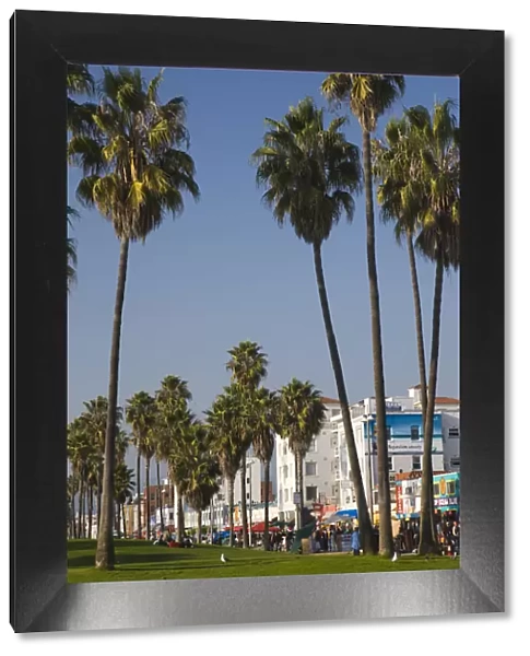 USA, California, Los Angeles, Venice, Venice Boardwalk