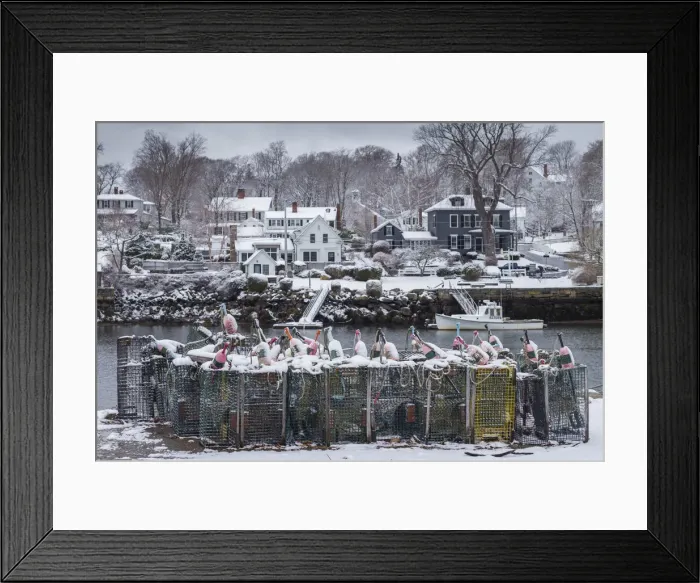 Framed Print : USA, Massachusetts, Cape Ann, Gloucester, early snow fall and lobster buoys on Lobster Framed Print : USA, Massachusetts, Cape Ann, Gloucester, early snow fall and lobster buoys on Lobster