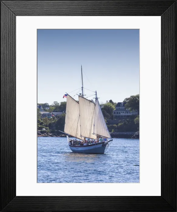 Framed Print : USA, Massachusetts, Cape Ann, Gloucester, annual Gloucester Schooner Festival, schooner Framed Print : USA, Massachusetts, Cape Ann, Gloucester, annual Gloucester Schooner Festival, schooner