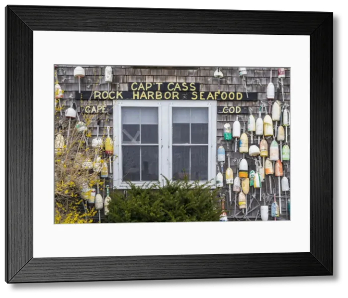 Framed Print : USA, Massachusetts, Cape Cod, Rock Harbor, lobster shack Framed Print : USA, Massachusetts, Cape Cod, Rock Harbor, lobster shack