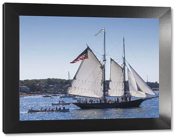 USA, Massachusetts, Cape Ann, Gloucester, annual Gloucester Schooner Festival, schooner