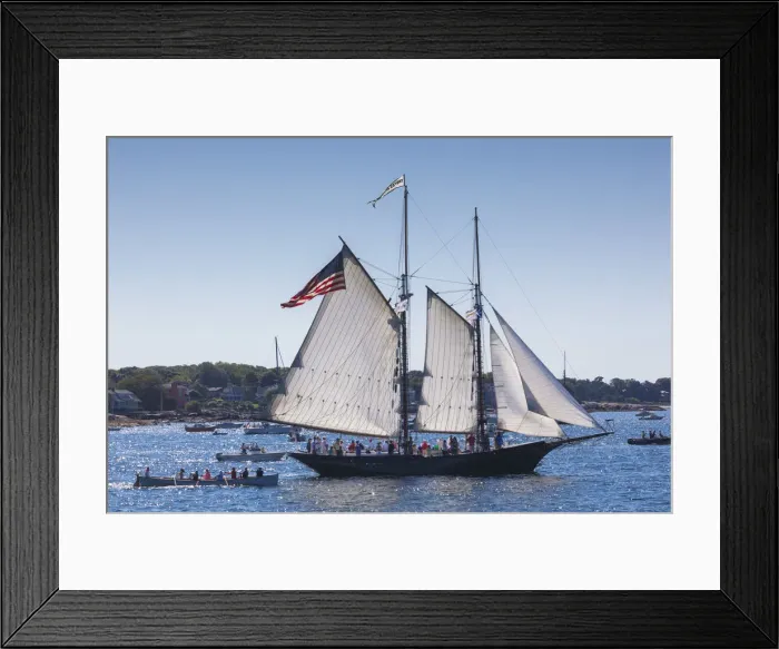 Framed Print : USA, Massachusetts, Cape Ann, Gloucester, annual Gloucester Schooner Festival, schooner Framed Print : USA, Massachusetts, Cape Ann, Gloucester, annual Gloucester Schooner Festival, schooner