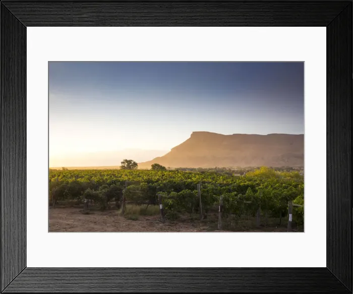 Framed Print : USA, Colorado, Mesa County, Town Of Palisade In Western Colorado, Wine Vineyard In Framed Print : USA, Colorado, Mesa County, Town Of Palisade In Western Colorado, Wine Vineyard In