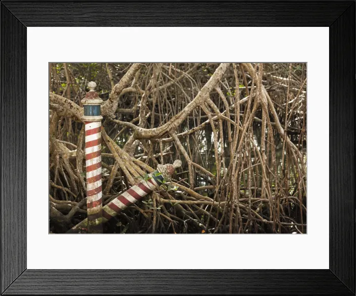 Framed Print : USA, Florida, Miami-area, Coconut Grove, Vizcaya Museum and Gardens, Venetian boat Framed Print : USA, Florida, Miami-area, Coconut Grove, Vizcaya Museum and Gardens, Venetian boat