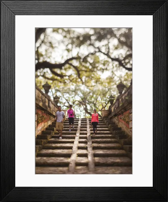Framed Print : USA, Florida, Miami-area, Coconut Grove, Vizcaya Museum and Gardens, staircase