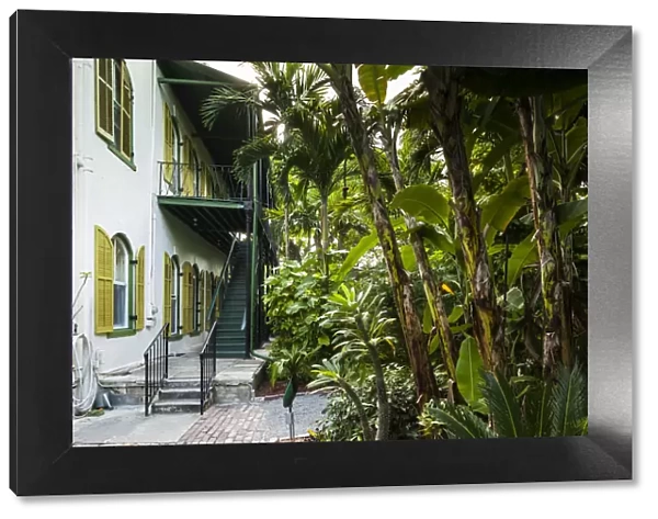 USA, Florida, Florida Keys, Key West, Hemingway House, former residence of famous