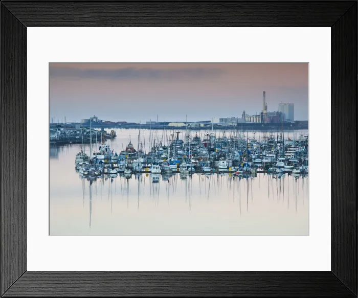 Framed Print : USA, California, Northern California, North Coast, Eureka, elevated view of town Framed Print : USA, California, Northern California, North Coast, Eureka, elevated view of town