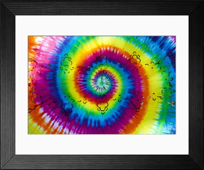 Framed Print : Lesbian Gay Pride Parade, San Francisco, California, USA