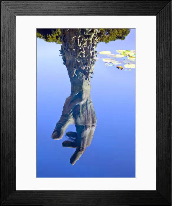 Framed Print : Florida, Miami Beach, Holocaust Memorial, 42 Foot High Bronze Hand, Reflection In Framed Print : Florida, Miami Beach, Holocaust Memorial, 42 Foot High Bronze Hand, Reflection In