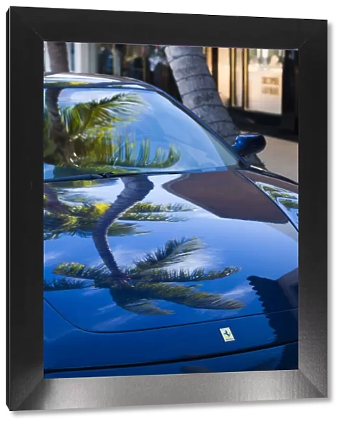 USA, Florida, Palm Beach, Worth Avenue, palm tree reflected in Ferrari sportscar