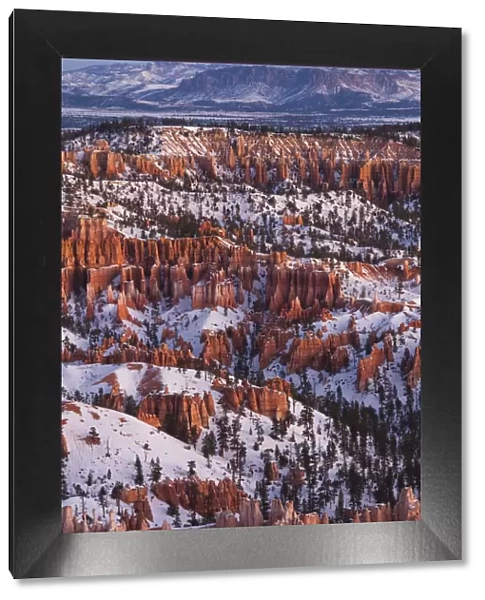 USA, Utah, Bryce Canyon National Park, Bryce Amphitheater from Bryce Point dawn, winter
