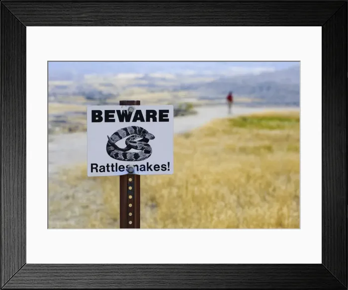 Framed Print : Rattlesnake Sign, Badlands National Park, South Dakota, USA Framed Print : Rattlesnake Sign, Badlands National Park, South Dakota, USA