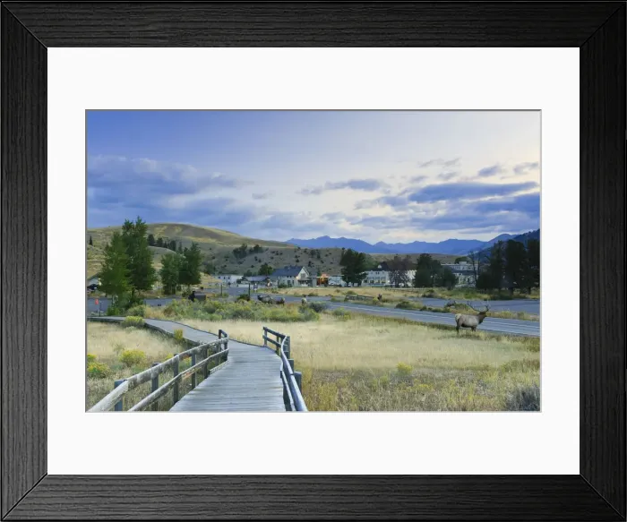 Framed Print : Mammoth Hot Springs Village and Resort, Yellowstone National Park, Wyoming, USA Framed Print : Mammoth Hot Springs Village and Resort, Yellowstone National Park, Wyoming, USA
