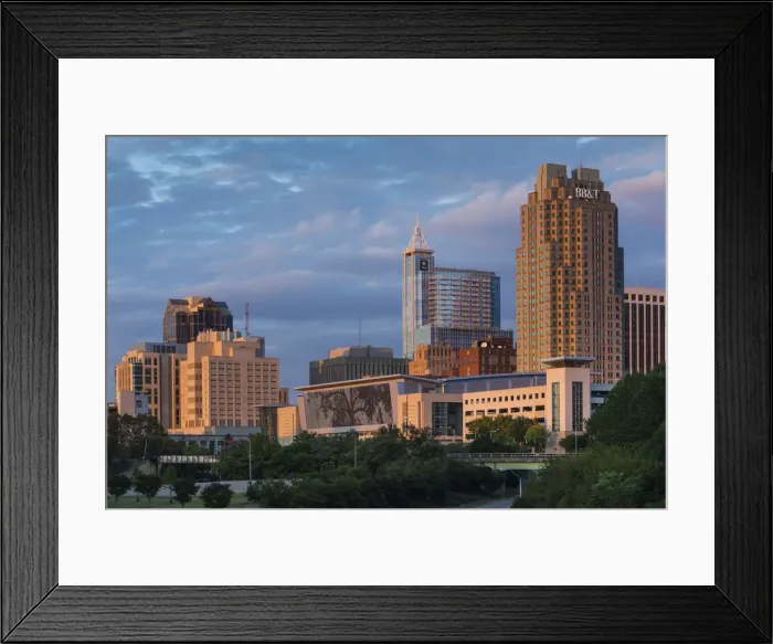 Framed Print : USA, North Carolina, Raleigh, city skyline