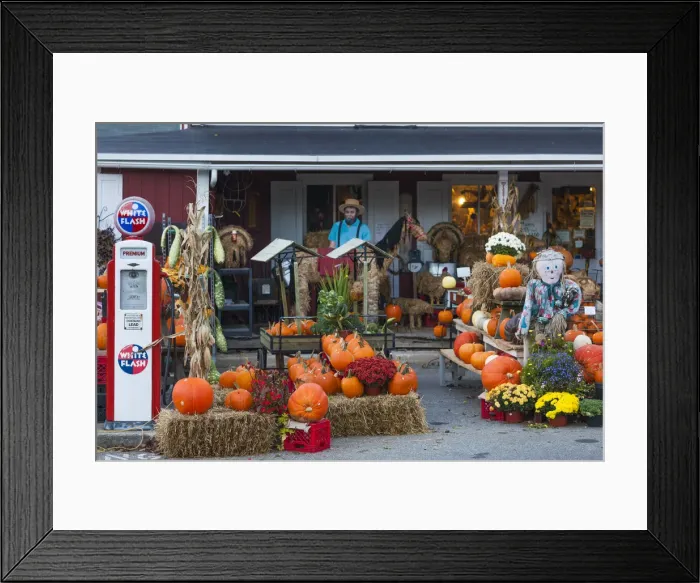 Framed Print : USA, Pennsylvania, Pennsylvania Dutch Country, Bird in Hand, Old Village Store Framed Print : USA, Pennsylvania, Pennsylvania Dutch Country, Bird in Hand, Old Village Store