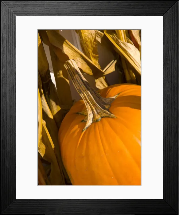 Framed Print : USA, Vermont, Stowe Framed Print : USA, Vermont, Stowe