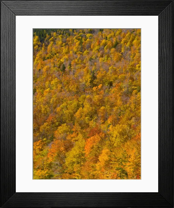 Framed Print : USA, New Hampshire, White Mountain National Park Framed Print : USA, New Hampshire, White Mountain National Park