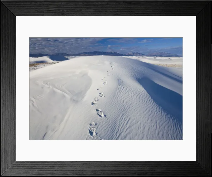 Framed Print : White Sands National Monument, New Mexico, USA Framed Print : White Sands National Monument, New Mexico, USA