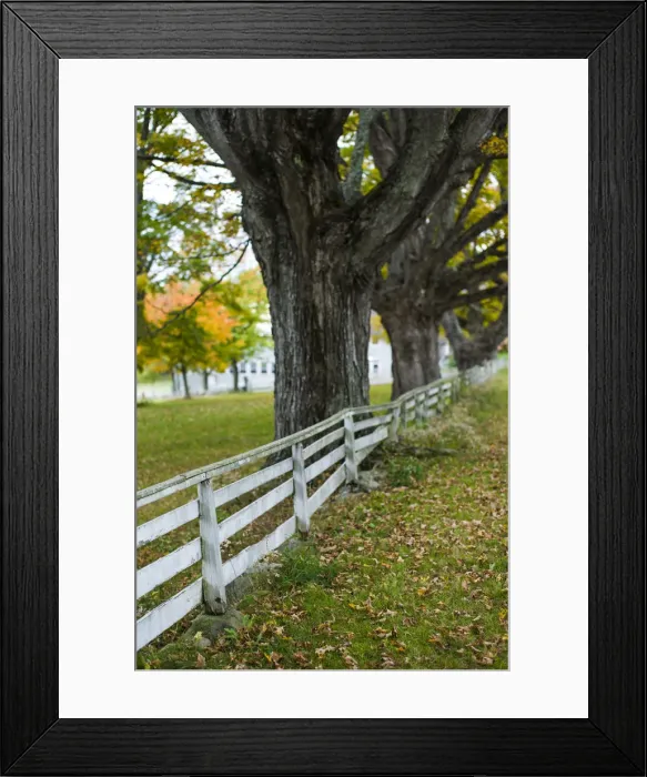 Framed Print : USA, New Hampshire, Canterbury, Canterbury Shaker Village, former Shaker religious Framed Print : USA, New Hampshire, Canterbury, Canterbury Shaker Village, former Shaker religious