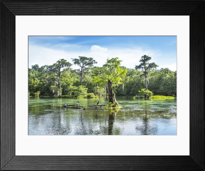 Framed Print : USA, Florida, Wakulla Springs State Park, Wakulla County, Wakulla River, Carries