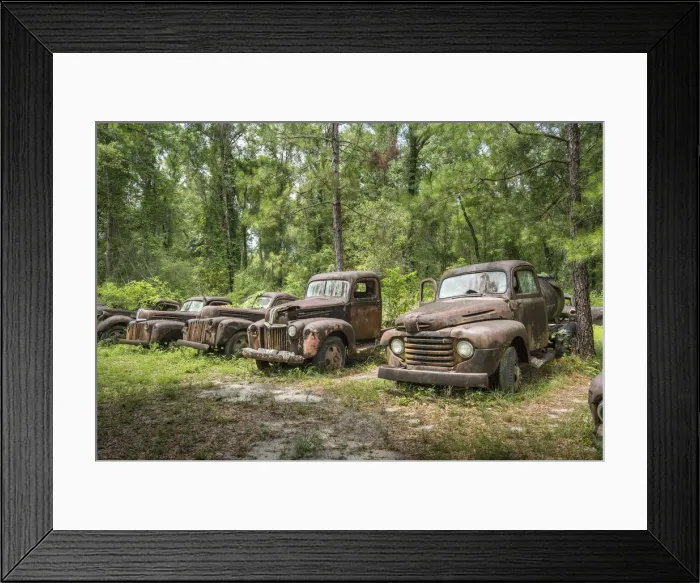 Framed Print : USA, Florida, Crawfordville, Wakulla County, Ford Truck Collection, Big Bend Scenic Byway Framed Print : USA, Florida, Crawfordville, Wakulla County, Ford Truck Collection, Big Bend Scenic Byway