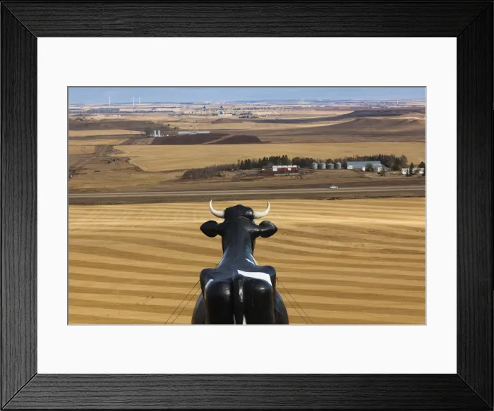 Framed Print : USA, North Dakota, New Salem, Salem Sue, Worlds Largest Holstein Cow