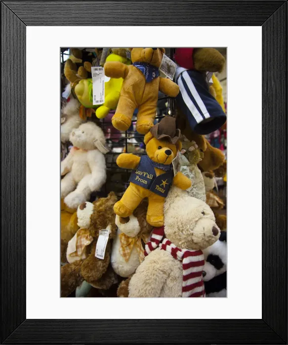 Framed Print : USA, Alabama, Scottsboro, Unclaimed Baggage Center, sellers of unclaimed US airlines