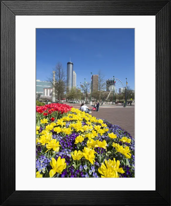 Framed Print : Downtown Atlanta, Georgia, USA