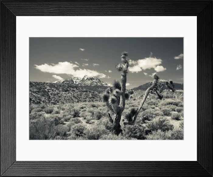 Framed Print : USA, Nevada, Las Vegas Area, Mt. Charleston, mountain landscape Framed Print : USA, Nevada, Las Vegas Area, Mt. Charleston, mountain landscape