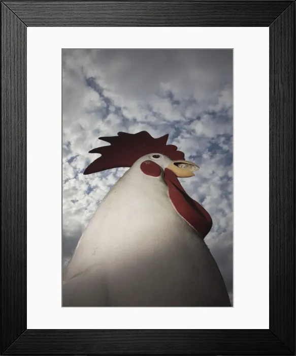 Framed Print : USA, Louisiana, Cajun Country, Vidrine, giant concrete rooster Framed Print : USA, Louisiana, Cajun Country, Vidrine, giant concrete rooster