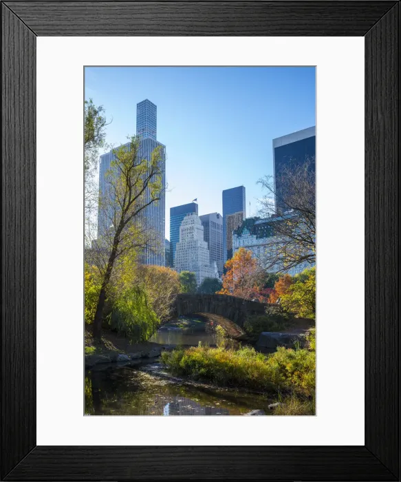 Framed Print : Plaza Hotel & The Pond, Central Park, Manhattan, New York City, New York, USA Framed Print : Plaza Hotel & The Pond, Central Park, Manhattan, New York City, New York, USA
