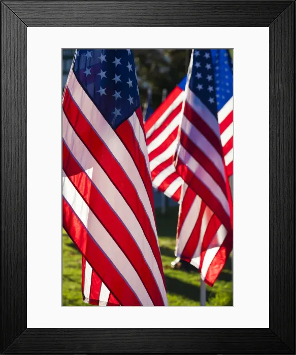 Framed Print : USA, Arkansas, Heber Springs, USA flags Framed Print : USA, Arkansas, Heber Springs, USA flags