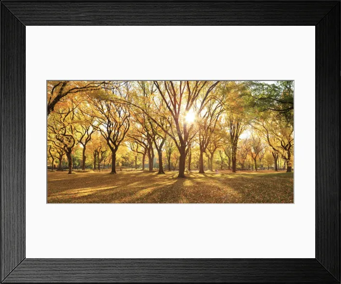 Framed Print : USA, New York City, Manhattan, Central Park, The Mall Framed Print : USA, New York City, Manhattan, Central Park, The Mall