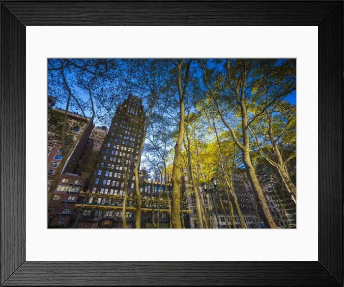 Framed Print : Bryant Park, Midtown Manhattan, New York City, New York, USA Framed Print : Bryant Park, Midtown Manhattan, New York City, New York, USA