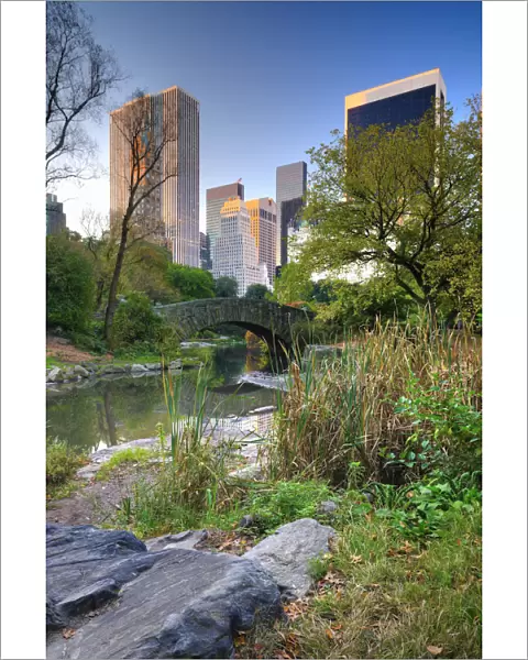 USA, New York, Manhattan, Central Park, The Pond