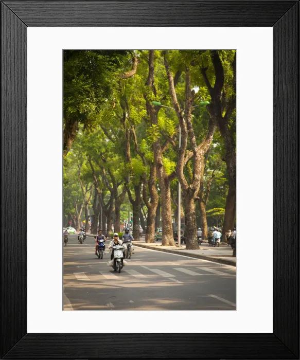 Framed Print : Tree lined boulevard in the Ba Dinh district, Hanoi, Vietnam Framed Print : Tree lined boulevard in the Ba Dinh district, Hanoi, Vietnam
