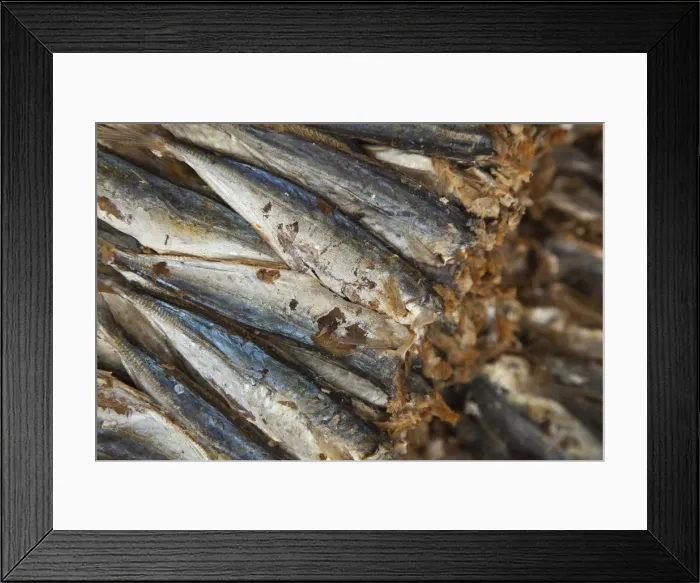 Framed Print : Dried fish, Old Quarter, Hanoi, Vietnam Framed Print : Dried fish, Old Quarter, Hanoi, Vietnam