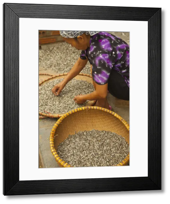 Framed Print : Sunflower seeds in basket, Old Quarter, Hanoi, Vietnam Framed Print : Sunflower seeds in basket, Old Quarter, Hanoi, Vietnam