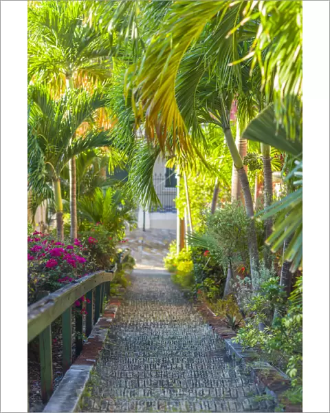 U. S. Virgin Islands, St. Thomas, Charlotte Amalie, The 99 Steps