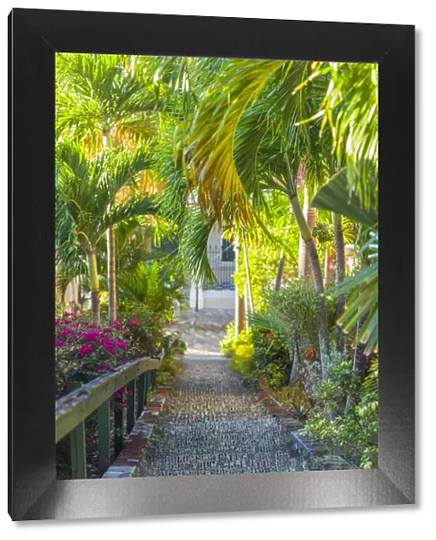 U. S. Virgin Islands, St. Thomas, Charlotte Amalie, The 99 Steps