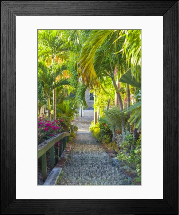 Framed Print : U. S. Virgin Islands, St. Thomas, Charlotte Amalie, The 99 Steps Framed Print : U. S. Virgin Islands, St. Thomas, Charlotte Amalie, The 99 Steps